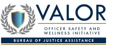 VALOR Initiative Logo
