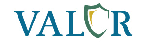 VALOR For Blue Logo