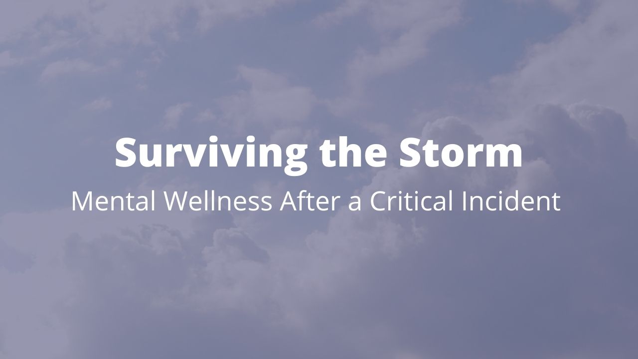 Webinar Surviving the Storm