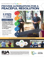 Promotional Poster Image for "From Crisis to C.A.L.M.—Provide Alternatives for a Peaceful Resolution"