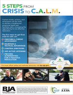 Promotional Poster Image for "Five Steps from Crisis to Calm Overview"
