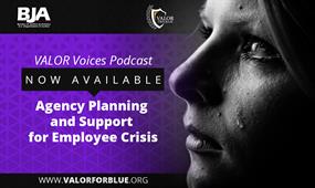 Image for Agency Planning and Support for Employee Crisis