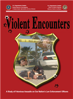 Image for The Deadly Mix: Violent Encounters