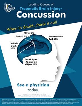 Image for Leading Causes of Concussions