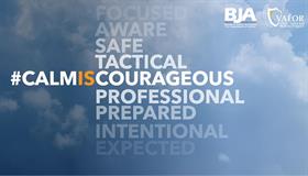 Image for Calm is Courageous