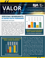 Image for Serving Warrants: A Safer Path Forward