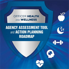 Image for Agency Assessment Tool and Action Planning Roadmap