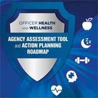 Image for Agency Assessment Tool and Action Planning Roadmap