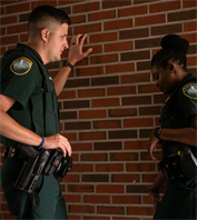 Image for Natural Stress Responses:  Cortisol and Adrenaline