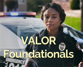 Image for VALOR Foundationals:  Laying the Groundwork for Your Safety and Wellness