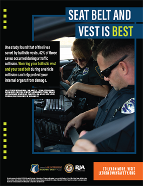 Image for Vest and Seat Belt