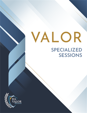 Image for VALOR Specialized Sessions Catalog