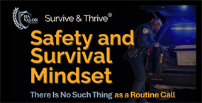 Image for Safety and Survival Mindset