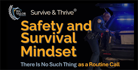 Image for Safety and Survival Mindset