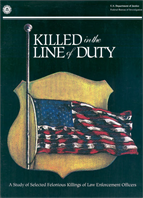 Image for The Deadly Mix: Killed in the Line of Duty