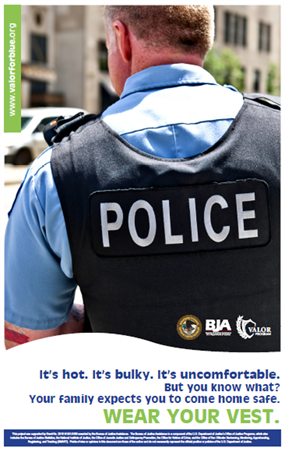 Image for Hot and Bulky: Wear Your Vest