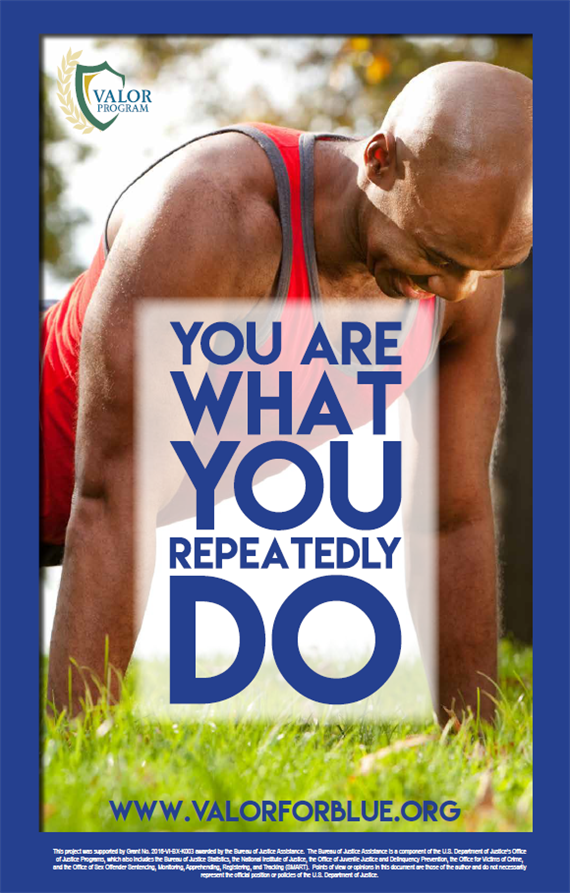 You are what you repeatedly do clearinghouse resource 48 valor for