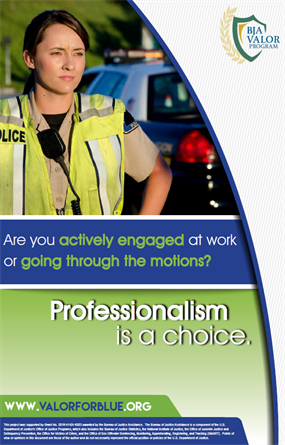 Image for Professionalism Is a Choice
