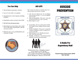 Image for Suicide Prevention: A Guide for Supervisory Staff