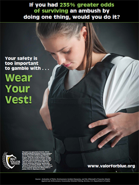 Image for Wear Your Vest
