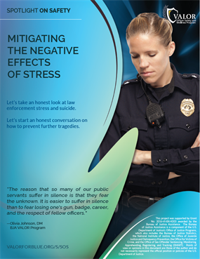 Image for Mitigating the Negative Effects of Stress