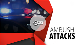 Image for Ambush Attacks