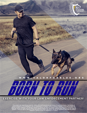 Image for Born to Run